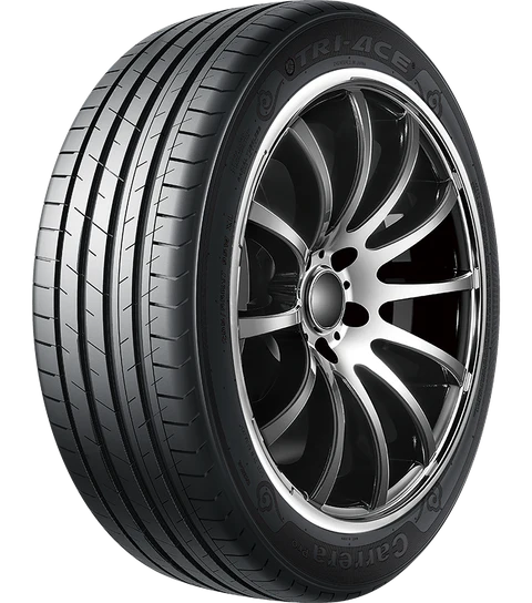 A24-3164-TRI-ACE-TESLA TIRES CARRERA PRO-255/45R19-104WXL-lower noise