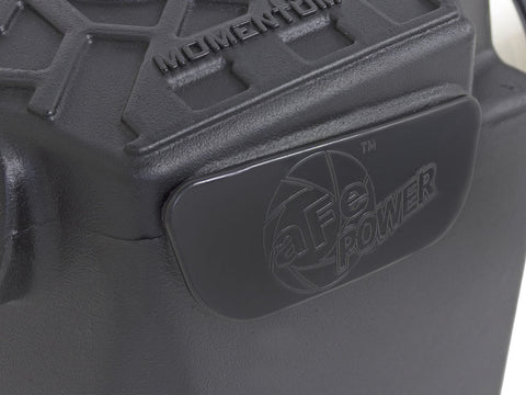 A24-1925-AFE Cold Air Intake System w/Pro 5R Filter Jeep Wrangler (JK) 07-11 V6-3.8L