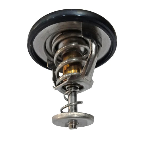 A24-1199-R P E THERMOSTAT TB48