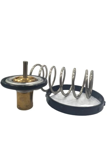 A24-1206-GMC LOW TEMP THERMOSTAT 65CS