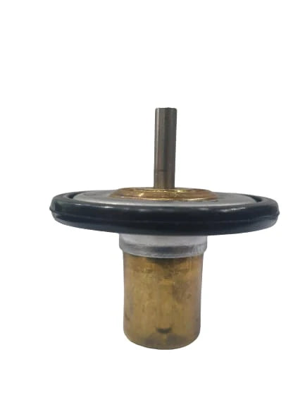 A24-1206-GMC LOW TEMP THERMOSTAT 65CS