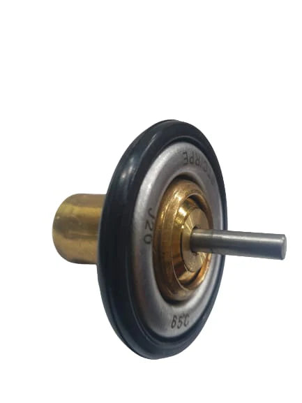 A24-1206-GMC LOW TEMP THERMOSTAT 65CS