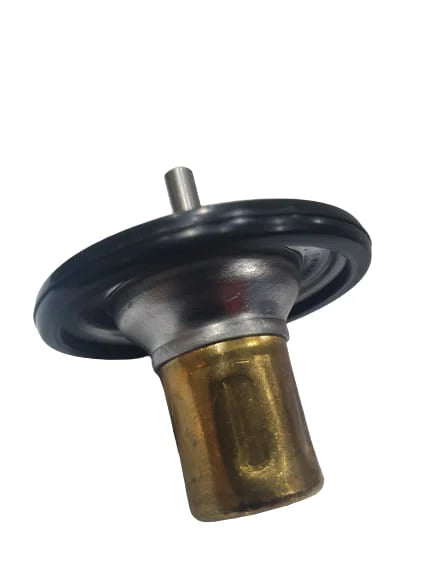 A24-1206-GMC LOW TEMP THERMOSTAT 65CS